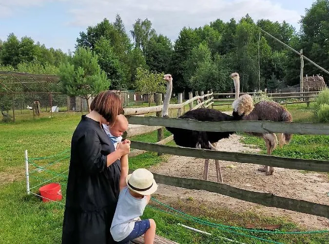 Eurostrus - Domki, Zoo Hotel Borzychy